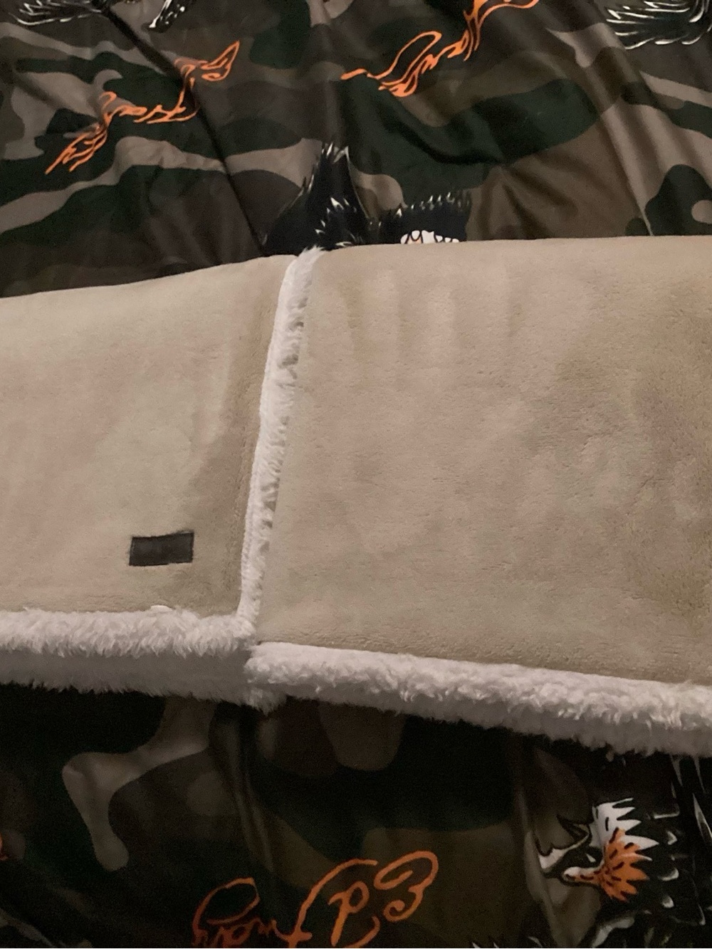 Throw Sherpa Pillow Case Set